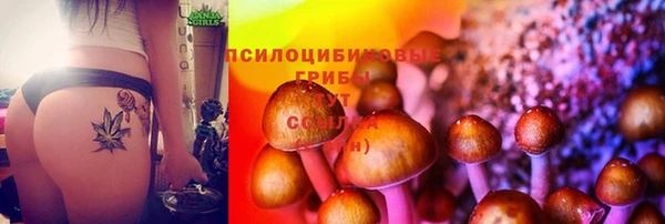 мет Армянск