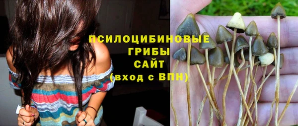 трава Баксан