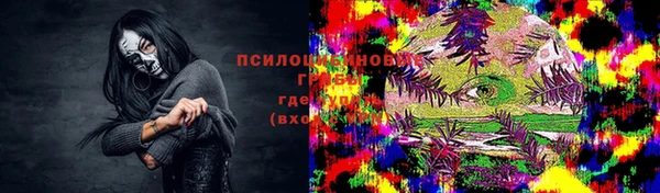 PSILOCYBIN Балахна